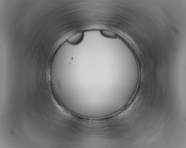 X0000111791241200907230942