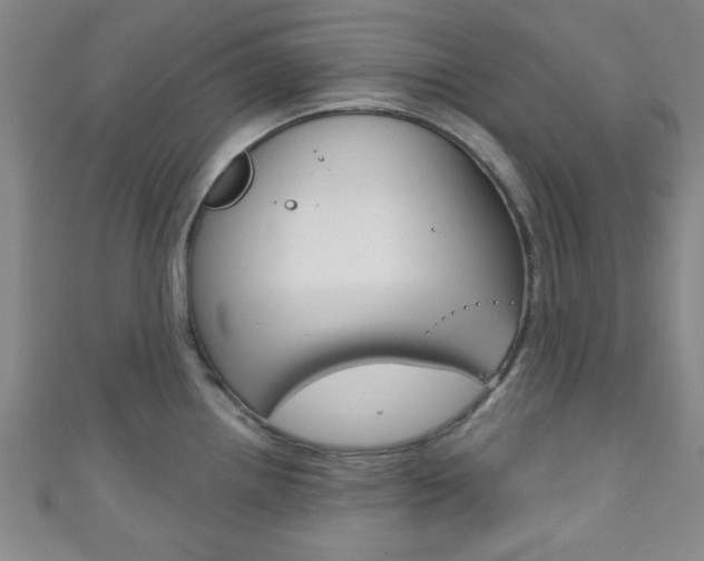 X0000111791242200907230942
