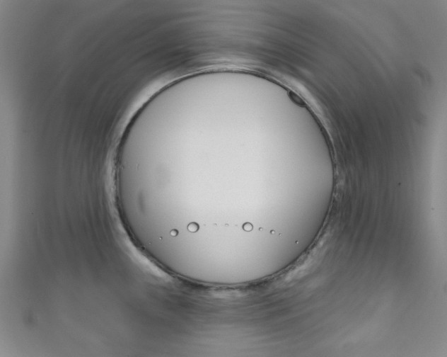 X0000111791243200907230942