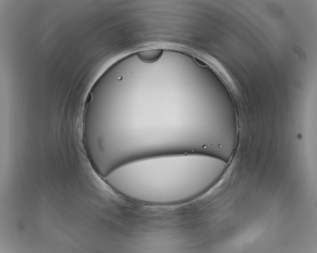 X0000111791244200907230942