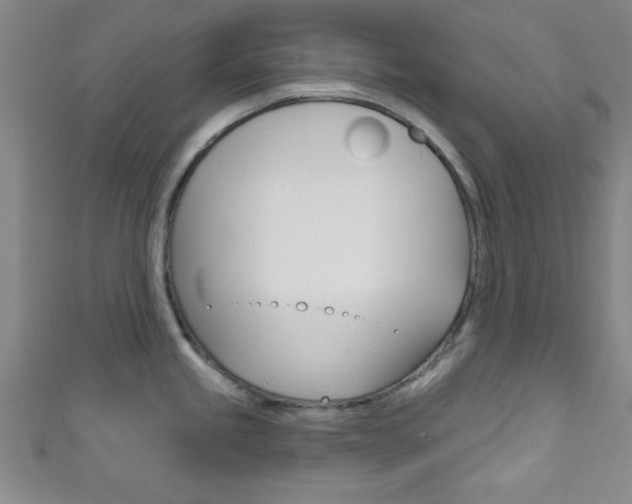 X0000111791245200907230942