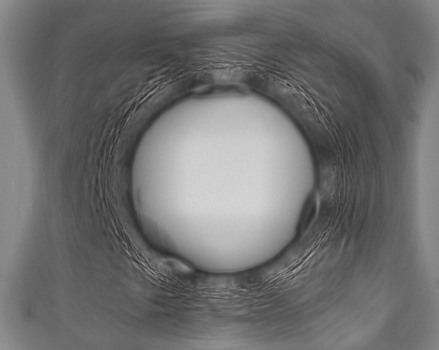 X0000111791249200907230942