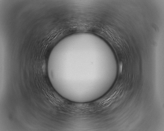X0000111791251200907230942