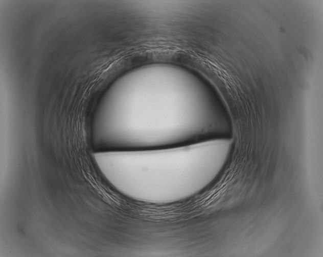 X0000111791252200907230942