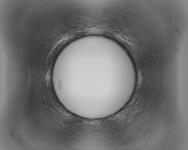 X0000111791254200907230941