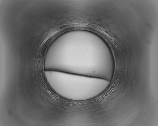X0000111791255200907230941