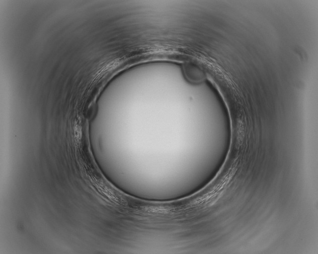 X0000111791257200907230941