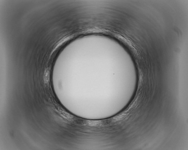X0000111791258200907230941