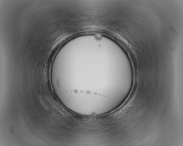 X0000111791259200907230941