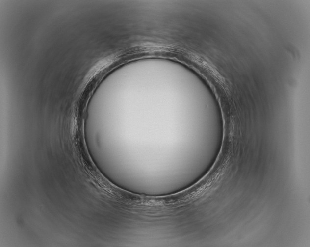 X0000111791261200907230941