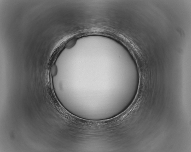 X0000111791262200907230941