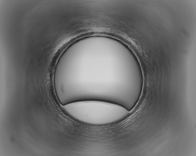 X0000111791263200907230941