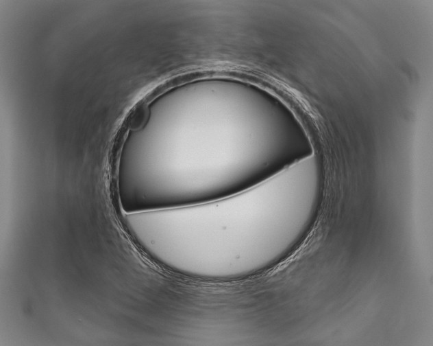 X0000111791264200907230941