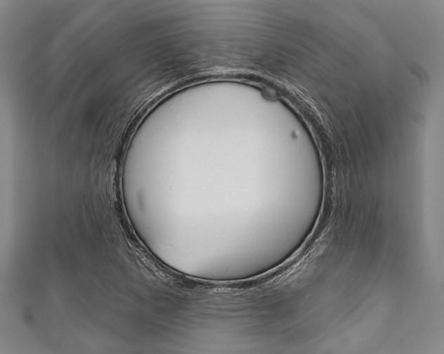 X0000111791265200907230941