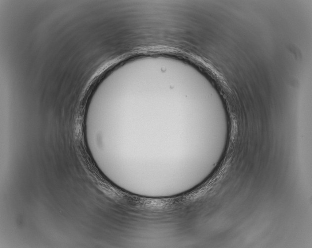 X0000111791266200907230941
