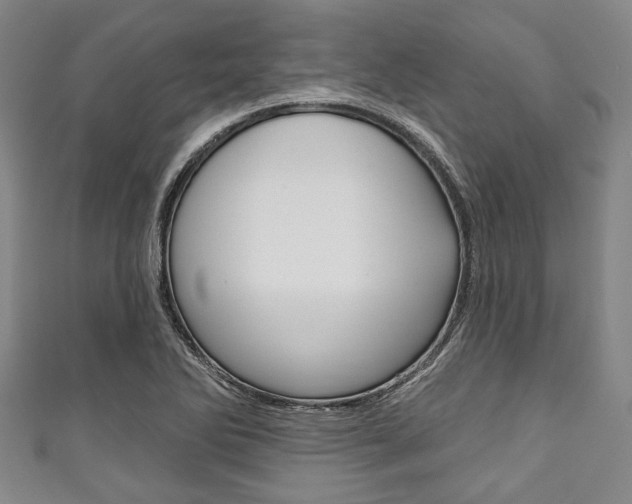 X0000111791270200907230941