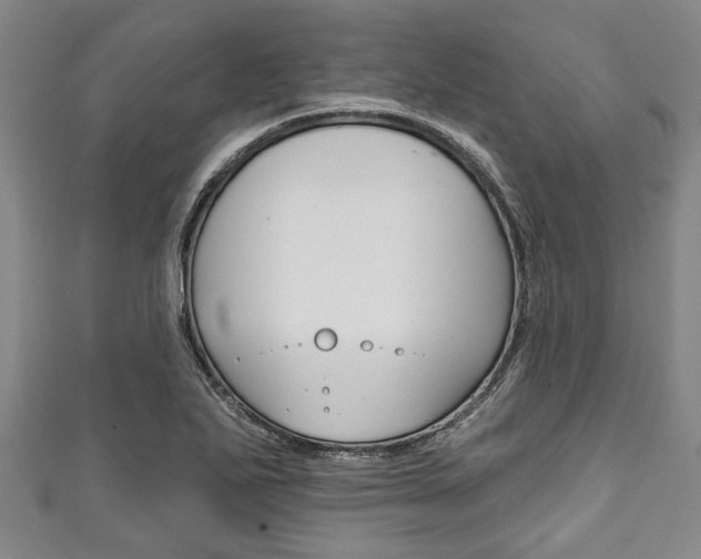 X0000111791271200907230941