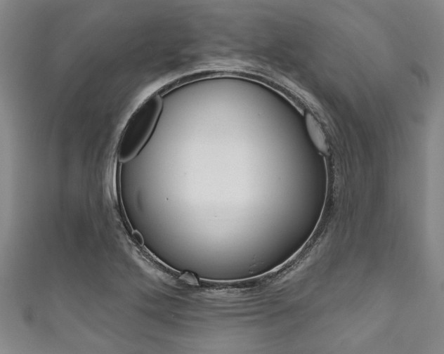 X0000111791272200907230941