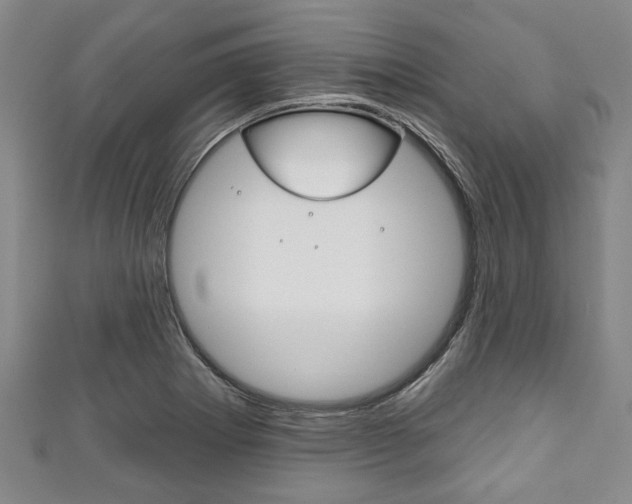 X0000111791273200907230941