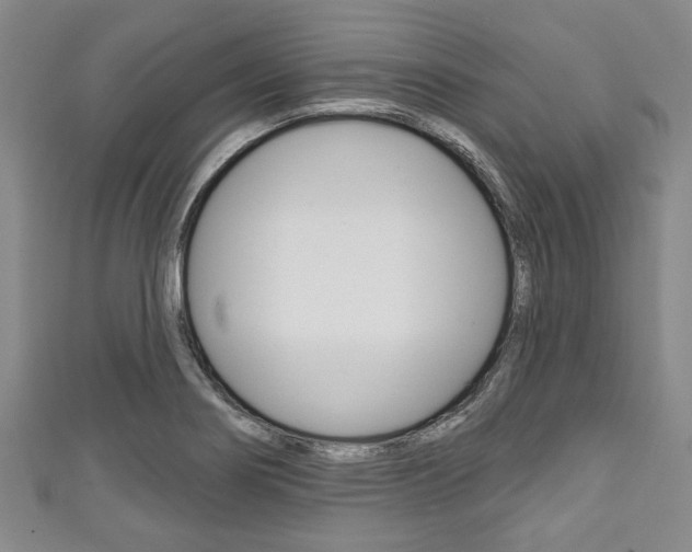 X0000111791274200907230941
