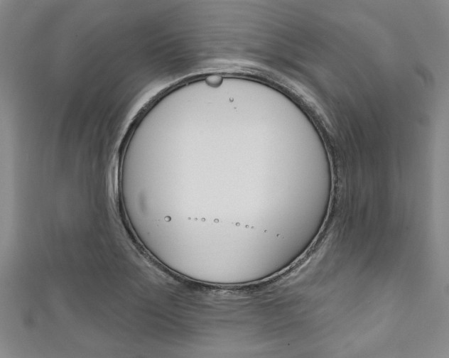 X0000111791275200907230941