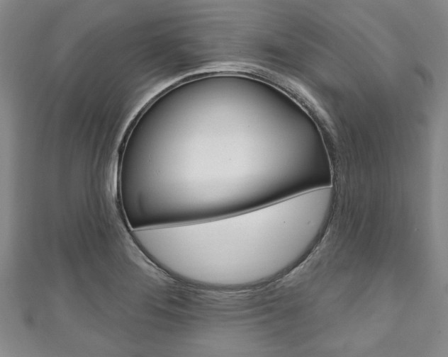 X0000111791276200907230941