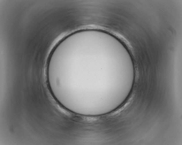 X0000111791278200907230941