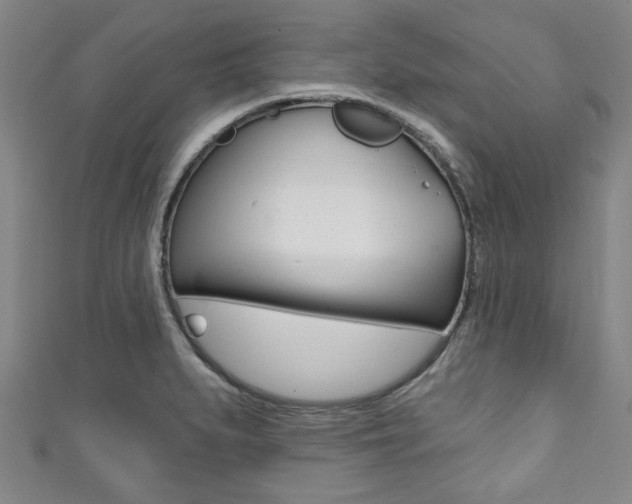 X0000111791279200907230941