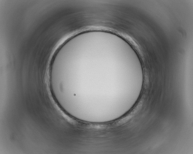 X0000111791286200907230941
