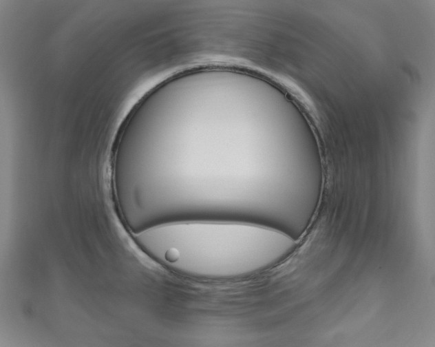 X0000111791287200907230941