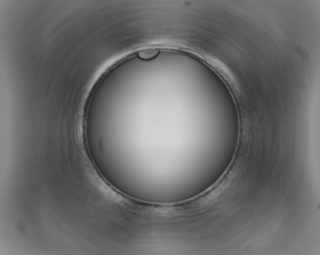 X0000111791288200907230941