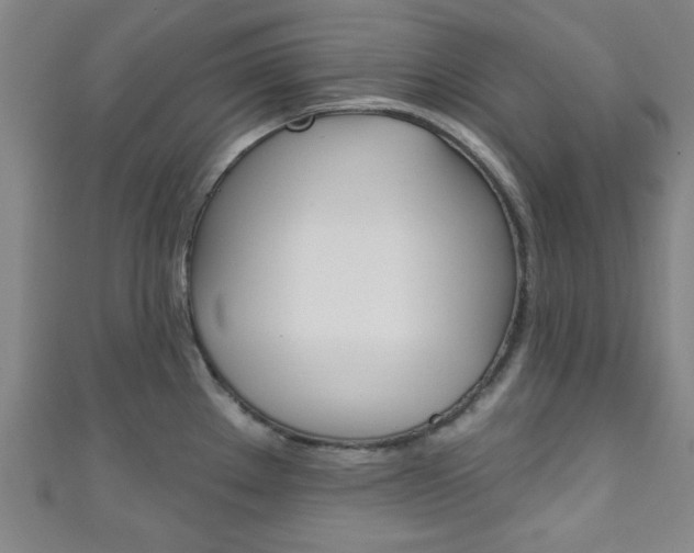 X0000111791289200907230941