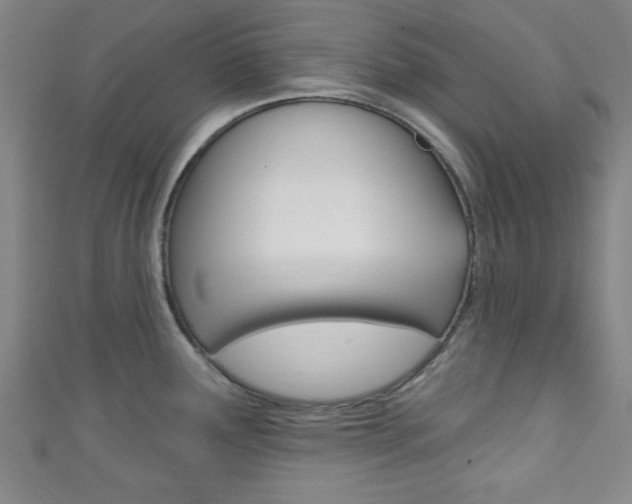 X0000111791291200907230941