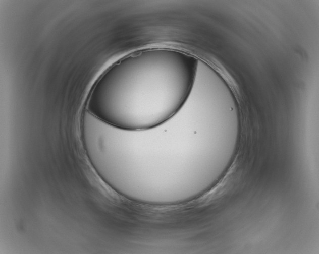 X0000111791292200907230941