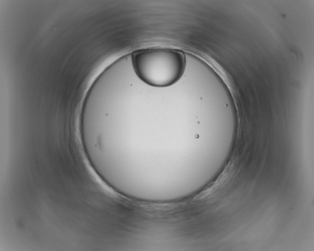 X0000111791293200907230941