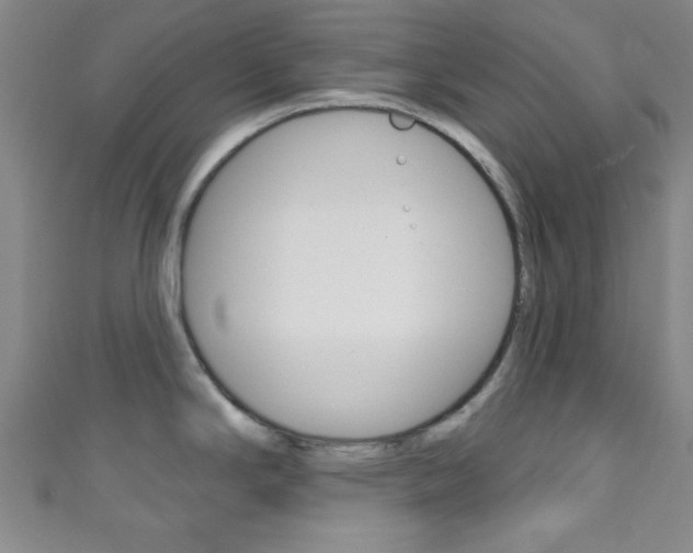 X0000111791294200907230941