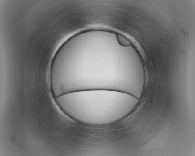 X0000111791295200907230941