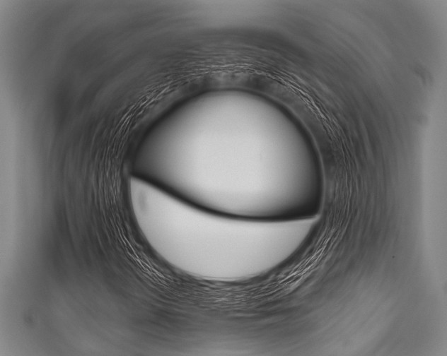 X0000111791298200907230940