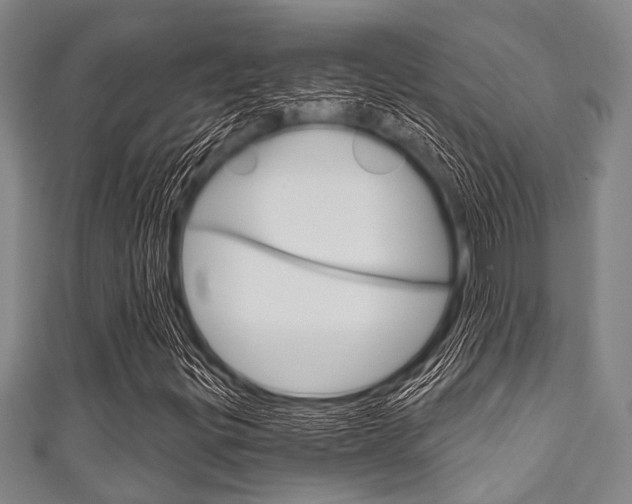 X0000111791299200907230940