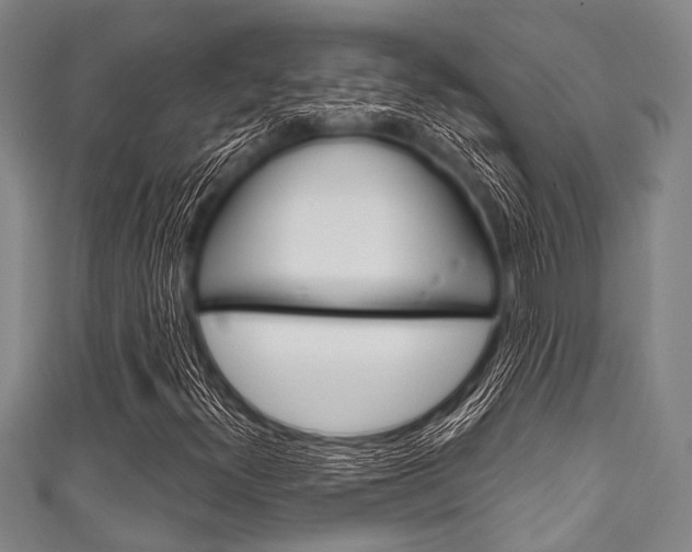 X0000111791300200907230940