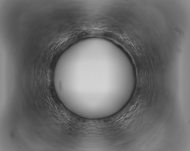 X0000111791301200907230940