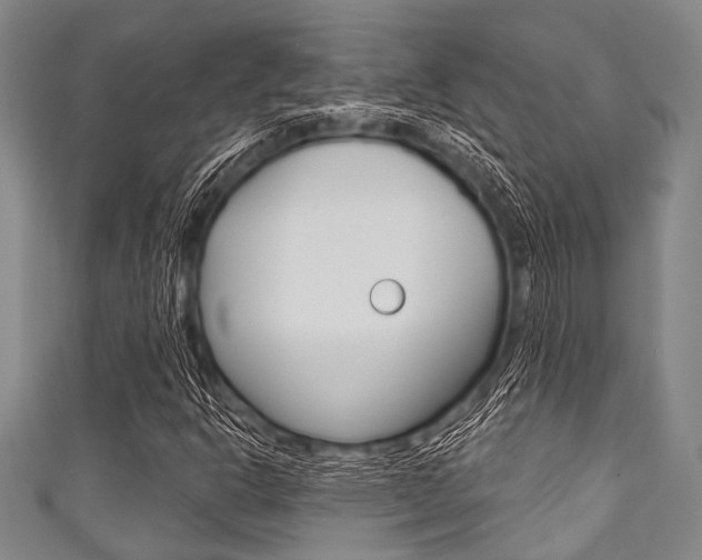 X0000111791302200907230940