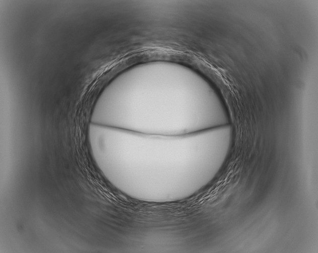 X0000111791303200907230940