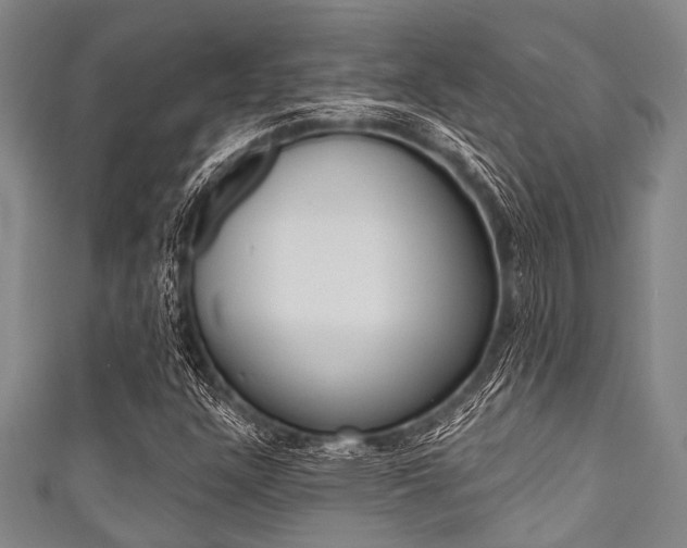 X0000111791304200907230940