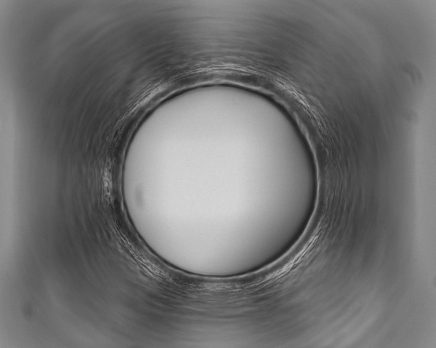 X0000111791305200907230940