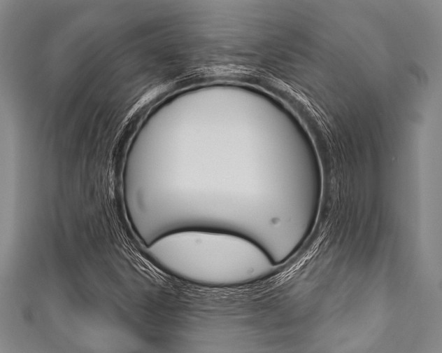 X0000111791306200907230940
