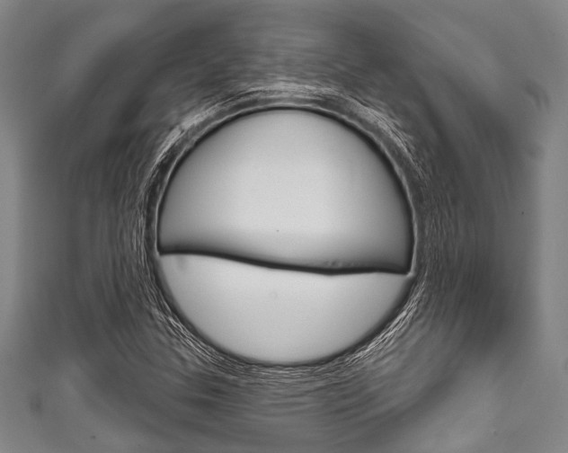 X0000111791307200907230940