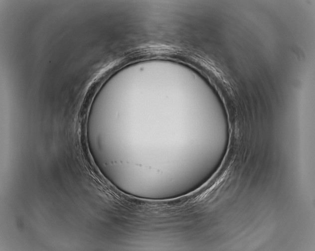 X0000111791309200907230940