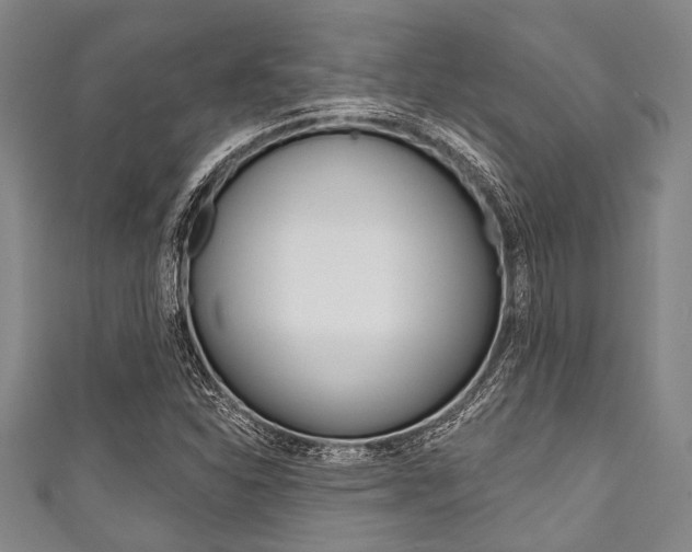 X0000111791310200907230941