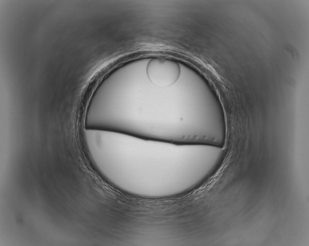 X0000111791311200907230941